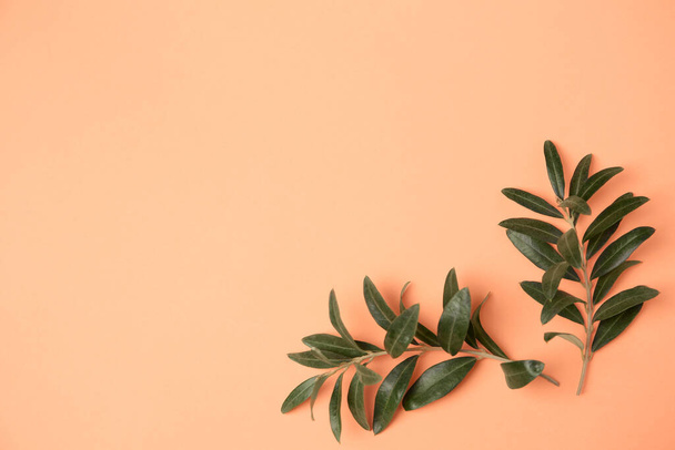 Olive twigs with fresh green leaves on pale orange background, flat lay. Space for text - Φωτογραφία, εικόνα