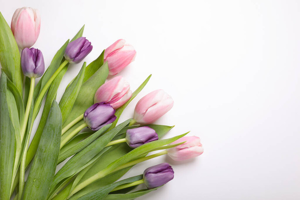 Schöne Tulpen auf hellem Hintergrund, flach gelegt. Raum für Text - Foto, Bild