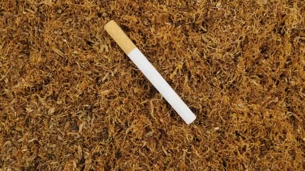 Sigara ve tütünü filtrele. Otantik tütün yaprakları. Yukarıdan görüntüle - Video, Çekim