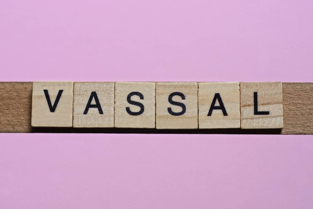 word vassal from small gray wooden letters lies on a pink background - Photo, Image