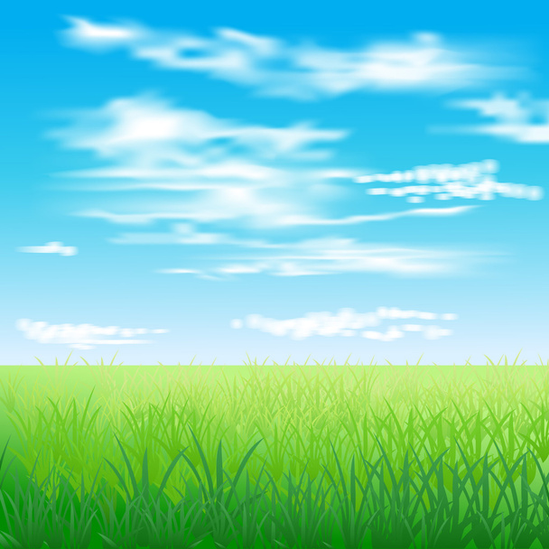 Зеленое поле
 - Вектор,изображение