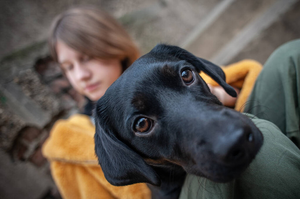 Pretty teenage girl in a yellow fur coat with a black dog, sitting on the city steps - Foto, Bild