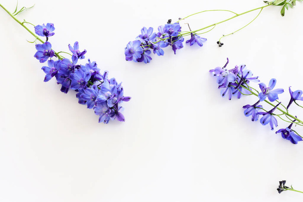 Top view image of violet delphinium flowers composition over white isolated background - Foto, Imagen