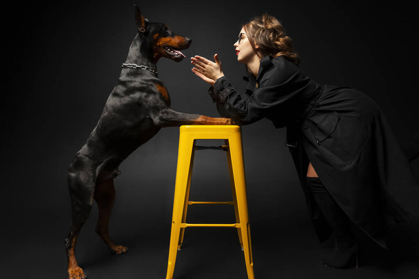 A young beautiful Doberman with a chain on its neck and Stylish girl in a long black coat and bright red lipstick looking at each other. Isolated on a black background. - Zdjęcie, obraz