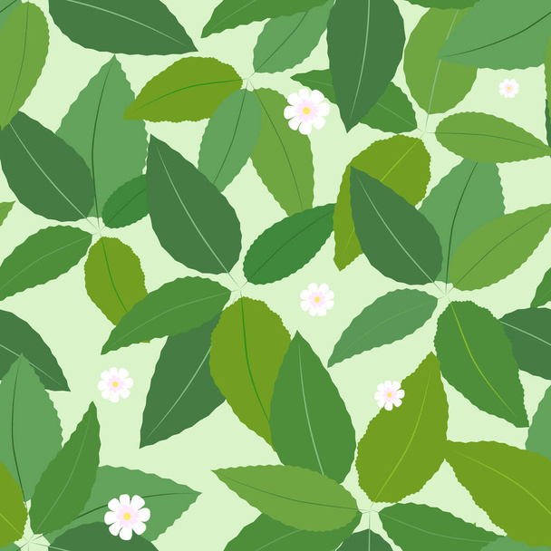 Patrón vectorial sin costuras con flores blancas y hojas verdes sobre un fondo verde claro - Vector, imagen