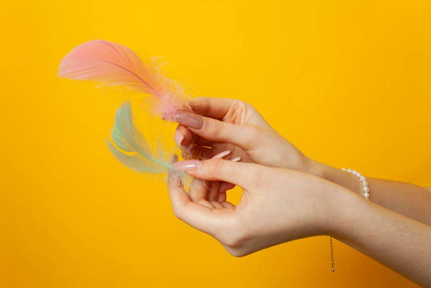 Close-up van de handen van een meisje houdt veren vast. Geïsoleerd op gele achtergrond. - Foto, afbeelding