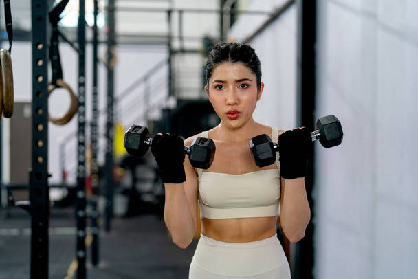 Pretty Asian sport woman hold and lift two dumbbells up and look forward in fitness gym and look concentrate to training. - Zdjęcie, obraz