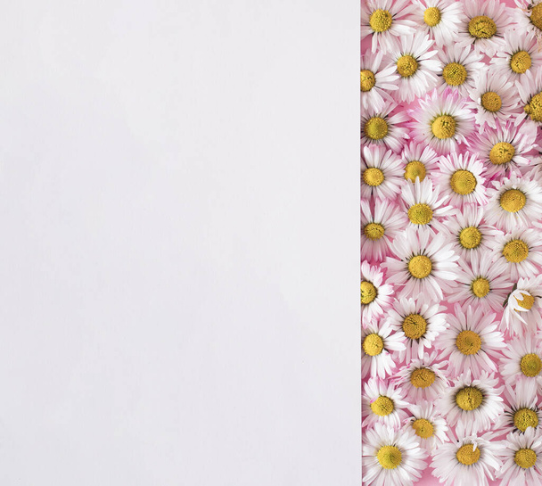 Arreglo creativo de flores sobre fondo rosa. Concepto floreciente. Acostado. Espacio de copia blanca - Foto, imagen