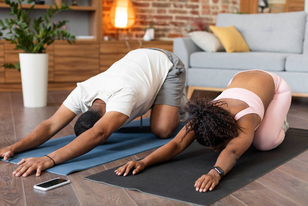 Young black guy and woman in sportswear doing stretching exercises for back muscles on mat on floor, workout together in living room interior. Training for body care, healthy lifestyle and fit at home - Photo, Image