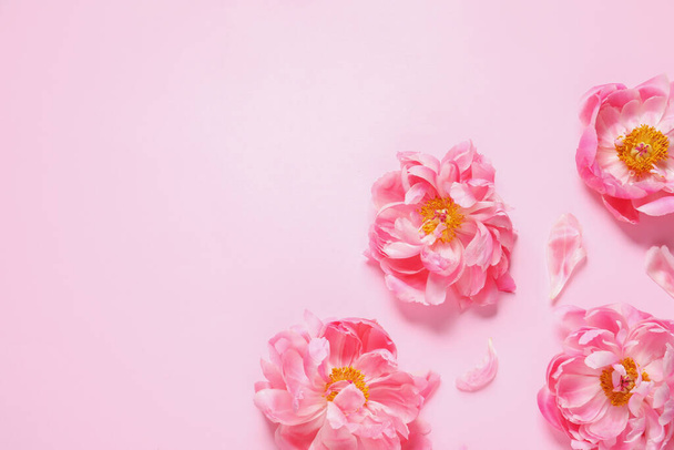 Beautiful peonies on pink background, flat lay. Space for text - Foto, Bild