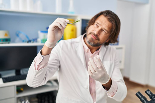 Middle age man scientist holding herb with tweezers at laboratory - Фото, зображення