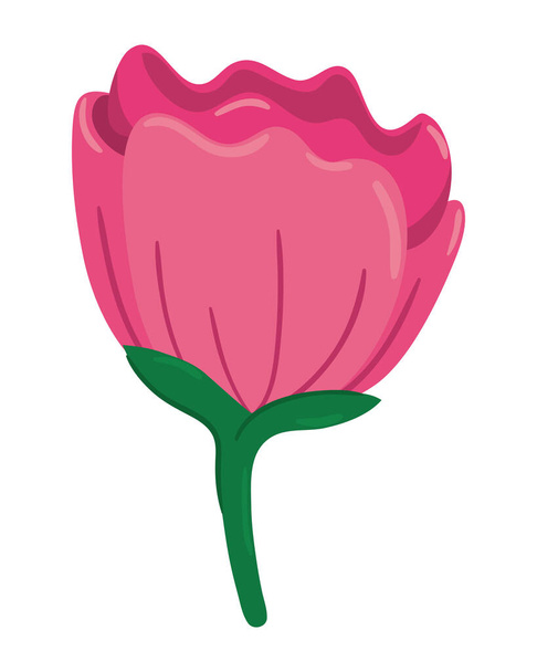 pink flower icon isolated white background - Vector, Imagen