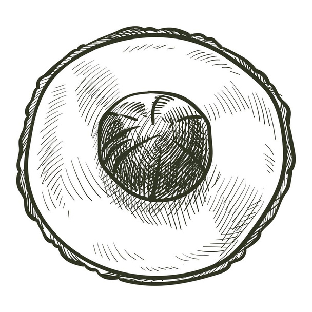 Exotic fruit, isolated avocado pear with seed. Product with vitamins and minerals. Nutritious ingredient for salads. Vegan and vegetarian food. Monochrome sketch outline, vector in flat style - ベクター画像