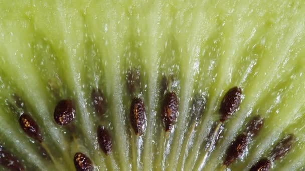 Close-up Kiwi Snijdt Rotatie: Levendig Groen Fruit Macro Video Beelden op zwarte achtergrond. Vers en sappig Tropisch Kiwifruit Draaien Langzaam Eten of Natuurconcept. - Video