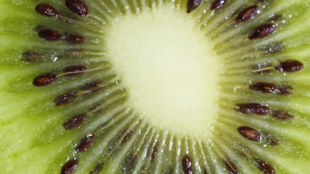 Κοντινό πλάνο Kiwi Slices Περιστροφή: Ζωντανό Πράσινο Φρούτα Μακρό Βίντεο Πλάνα σε Μαύρο Φόντο. Φρέσκα και ζουμερά τροπικά ακτινίδια Περιστρεφόμενα αργά Τρόφιμα ή Έννοια της φύσης. - Πλάνα, βίντεο