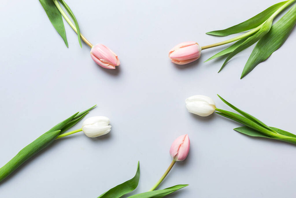 Rosa und weiße Tulpen auf einem farbigen Urlaubsrahmen Hintergrund. Floraler Frühling Hintergrund für den 8. März, Geburtstag, Muttertag. Kopierraum von oben Ansicht flach legen. - Foto, Bild