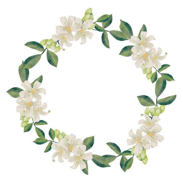watercolor white murraya orange jasmine flower bouquet wreath frame - Вектор,изображение
