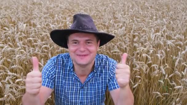 Безумно счастливый молодой агроном в шляпе, показывающий большие пальцы среди спелых колосьев пшеницы. Эйфория. Удовлетворение работы - Кадры, видео