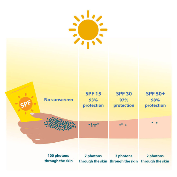 SPF i fotony przez wektor skóry na białym tle. Różne poziomy SPF 15, 30 i 50 chronią promienie UVB i umożliwiają przedostanie się fotonów przez skórę. Porównanie ochrony przeciwsłonecznej z ochrony przeciwsłonecznej. Pielęgnacja skóry i koncepcji piękna ilustracja. - Wektor, obraz
