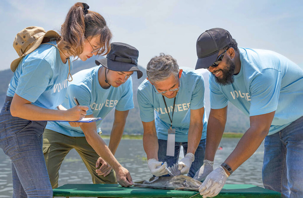 vrijwilligers onder leiding van een bioloog die microchips injecteert om vis bij de rivier te reproduceren voor de instandhouding van zeldzame vissoorten die op het punt staan uit te sterven, natuurlijke hulpbronnen en milieubehoud - Foto, afbeelding