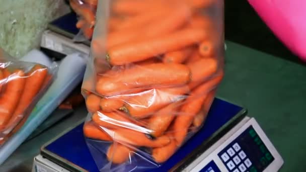 Ταξινόμηση των καρότων - Πλάνα, βίντεο