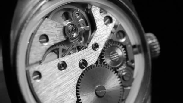 Mechanism inside an old watch. Black and white. - Footage, Video