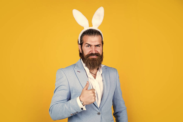 Are you ready to celebrate. funny man in rabbit costume. happy easter. man imagine he is rabbit. male wear bunny ears. just having fun. Easter Holiday Greeting. celebrating easter in springtime. - Foto, immagini