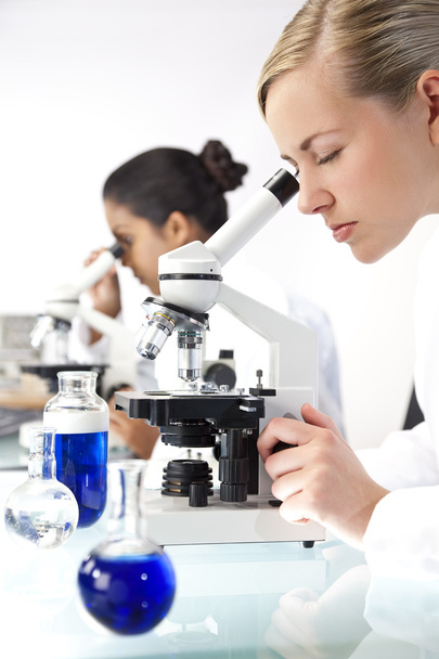 Female Scientific Research Team Using Microscopes in a Laborator - Foto, immagini