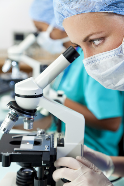 Female Scientists or Doctors Using Microscopes in a Laboratory - Zdjęcie, obraz