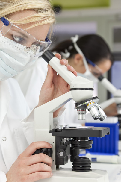 Female Scientific Research Team Using Microscopes in a Laborator - Φωτογραφία, εικόνα