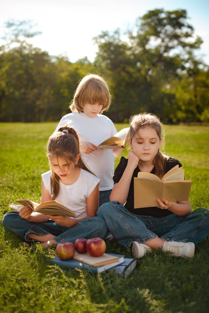 τα παιδιά διαβάζουν βιβλία, μελετούν και προετοιμάζονται για εξετάσεις ή εξετάσεις στο πάρκο. Δέσμη μαθητών ή μαθητών μαθαίνουν με βιβλία. Σχέδιο εκπαίδευσης και κατάρτισης. - Φωτογραφία, εικόνα