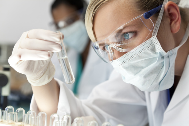Equipo de investigación científica femenina con una solución clara en el laboratorio
 - Foto, Imagen