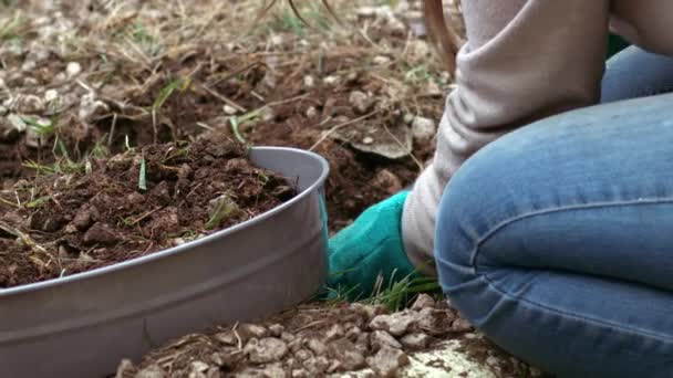 Tuinman voorbereiding bodem met bodemzeef voor groeiende planten close-up slow motion shot selectieve focus - Video