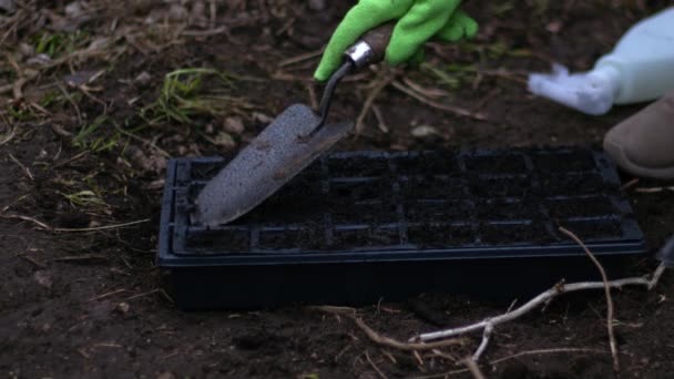 Jardineiro preparando sementes em um propagador médio 4k tiro foco seletivo - Filmagem, Vídeo