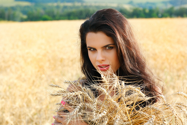 Красивая девушка в поле
 - Фото, изображение