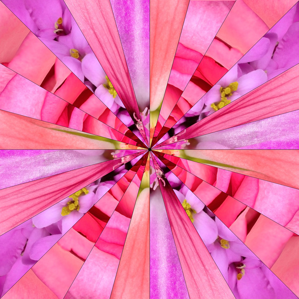 Ροζ λουλούδι κέντρο κολάζ γεωμετρικό σχέδιο - Φωτογραφία, εικόνα