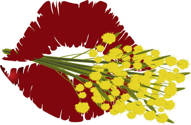 mimosa bloem symbool van vrouwendag - Vector, afbeelding