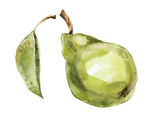 Photoshopで描かれ処理された緑の梨の水彩手 - 写真・画像