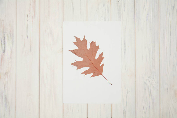 podzimní listí na dřevěném pozadí - Fotografie, Obrázek