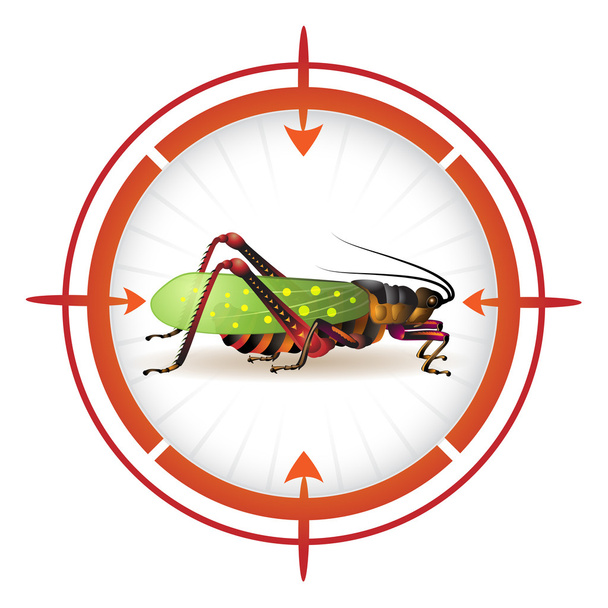 Target with grasshopper - Vector, afbeelding