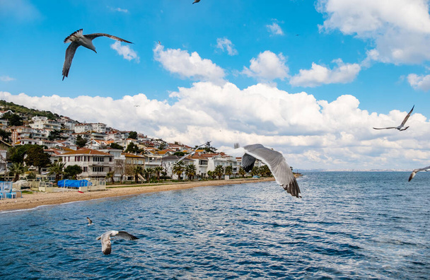 Princes Islands near Istanbul. Buyukada is the largest island and resort in the Sea of Marmara. - Photo, Image