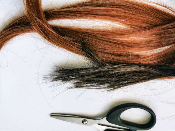 hebra de pelo negro y marrón con tijeras un fondo blanco - Foto, Imagen