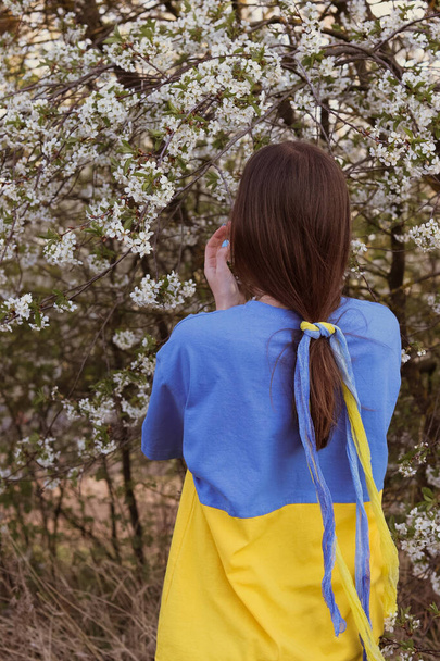 桜の近くにウクライナの女の子 - 写真・画像