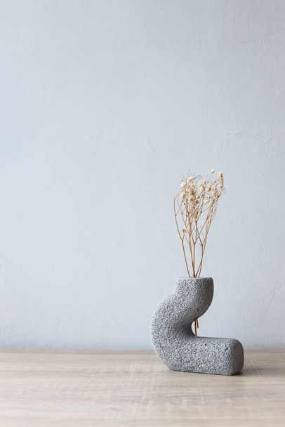 Minimalist room, branch with pot, vase flower on empty wall background - Foto, imagen
