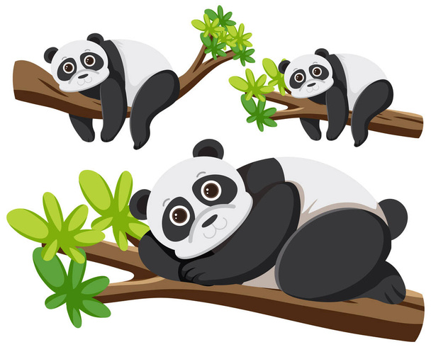Készlet panda rajzfilm karakter illusztráció - Vektor, kép
