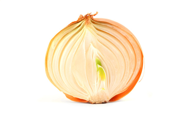 Fresh bulbs of onion on a white background - Photo, image