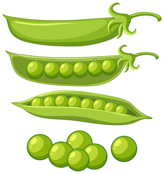 隔離された緑のエンドウ豆の漫画のイラスト - ベクター画像