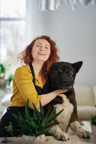 Νεαρή κοκκινομάλλα με μαύρη ποδιά και σκύλο ακίτα να διασκεδάζει στο σπίτι. Χαμογελώντας και ταΐζοντας το σκύλο. Υψηλής ποιότητας φωτογραφία - Φωτογραφία, εικόνα