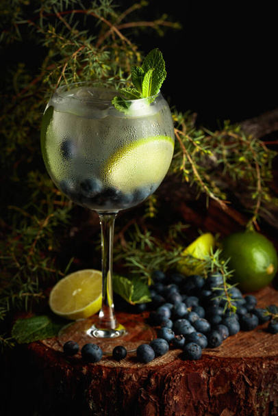 Gin and Tonic cocktail with blueberries, lime, and mint. An iced refreshing drink on an old stump with moss and juniper branches. - Photo, image