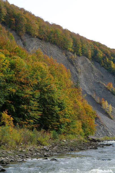 Prut folyó és hegyi redők Yaremche, Ukrajna, néven ismert Yaremche redők - legnagyobb outcrop a Stryi képződés Európában. Itt sziklák a formáció hajtogatott és hibás, gótikus vagy ékzár típusú - Fotó, kép